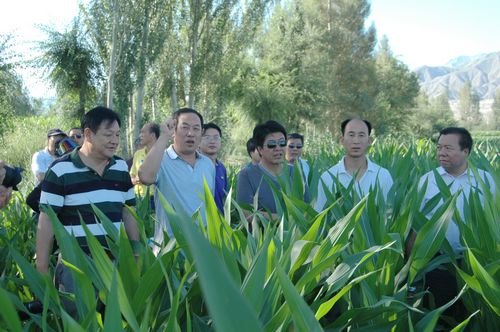 相互交流取長補短 共同學習穩(wěn)步提高---敦煌種業(yè)組織中高層管理人員赴種子企業(yè)交流觀摩
