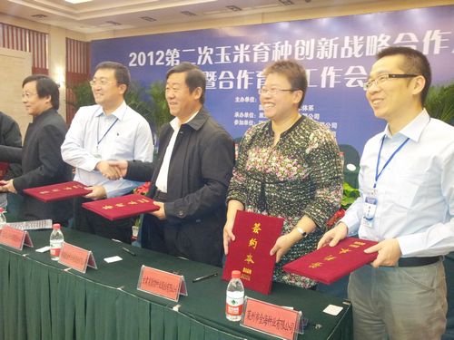 敦煌種業(yè)與國(guó)內(nèi)9家種子企業(yè)簽署玉米育種創(chuàng)新戰(zhàn)略暨合作育種協(xié)議